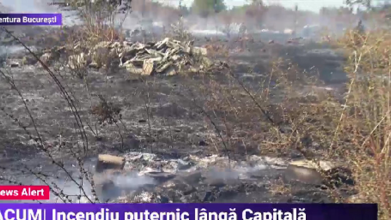 Incendiu puternic langa Capitala. ISU: Flacarile au afectat o suprafata de 350.000 de metri patrati Imagine