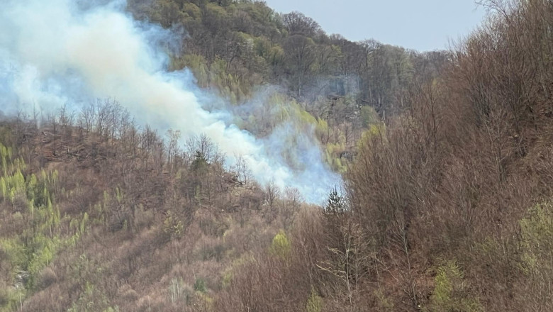 Incendiul de padure din Arges a fost stins, dupa cinci zile in care pompierii s-au luptat cu flacarile Imagine
