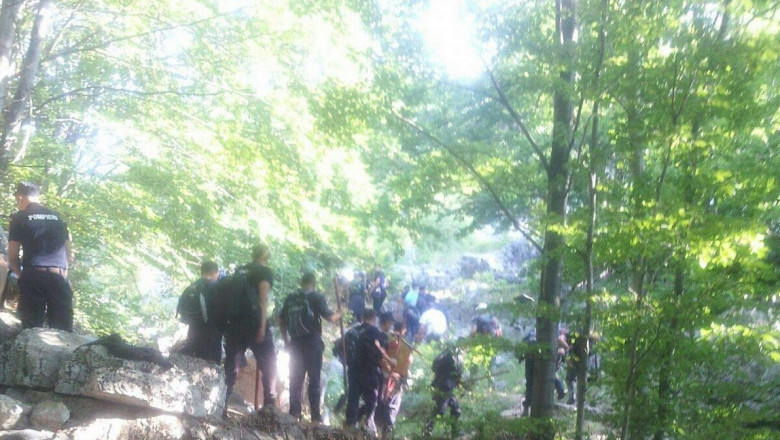 Incendiul de padure din Mehedinti a fost stins de pompieri. A fost afectata o suprafata de aproximativ 130 de hectare Imagine