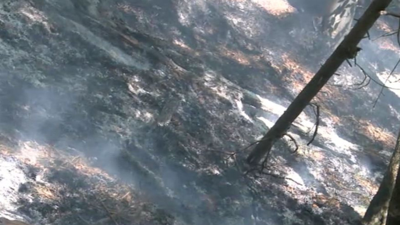 Incendiul din Parcul National Domogled a fost stins dupa mai bine o saptamana Imagine