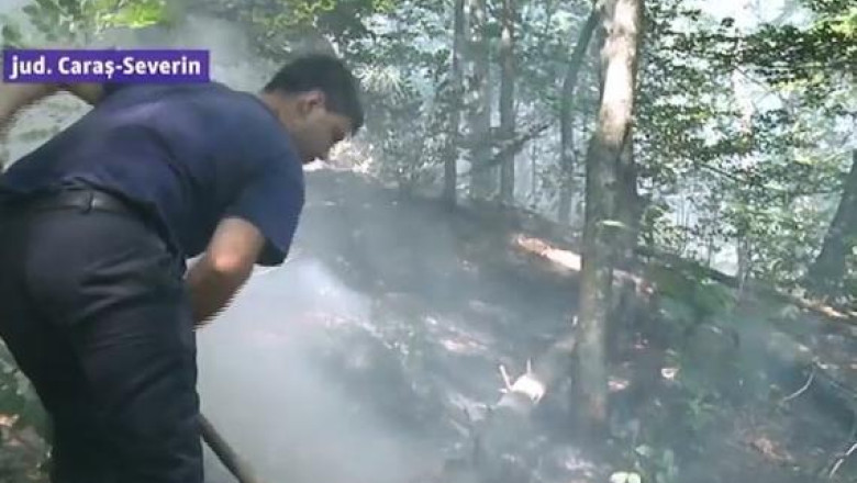 Incendiul din Parcul National Domogled: pagubele si interventia in cifre. A fost gasit ”vinovatul” pentru parjol! Imagine