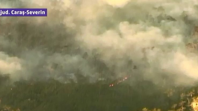 Incendiul din Parcul National Domogled, stins dupa noua zile. Acum urmeaza ancheta: ce a declansat parjolul? Imagine