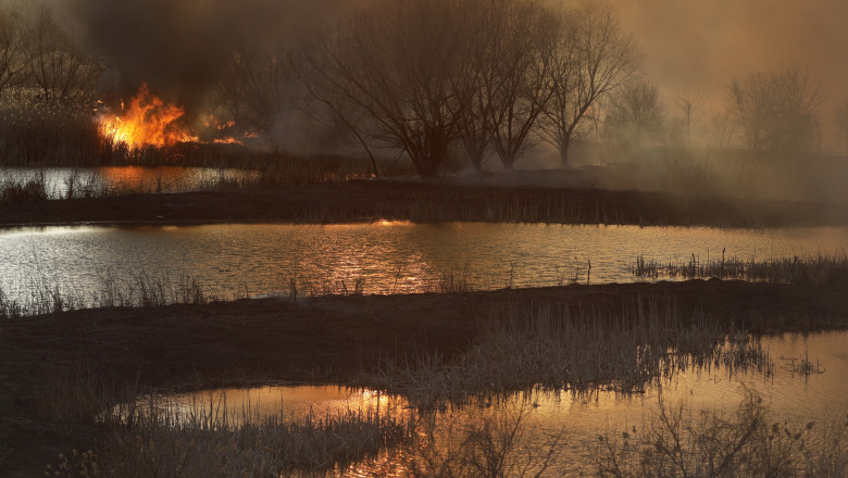 Incendiul puternic din Delta Vacaresti a fost stins Imagine