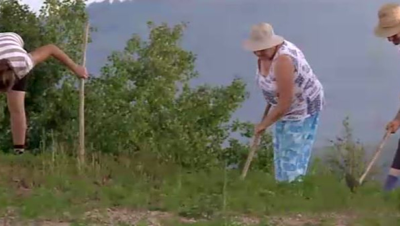 Incep platile pentru fermieri Imagine