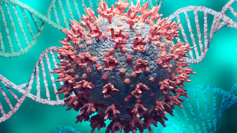 Incep testele la om cu un vaccin nazal impotriva Covid-19. Care sunt avantajele unei astfel de imunizari Imagine