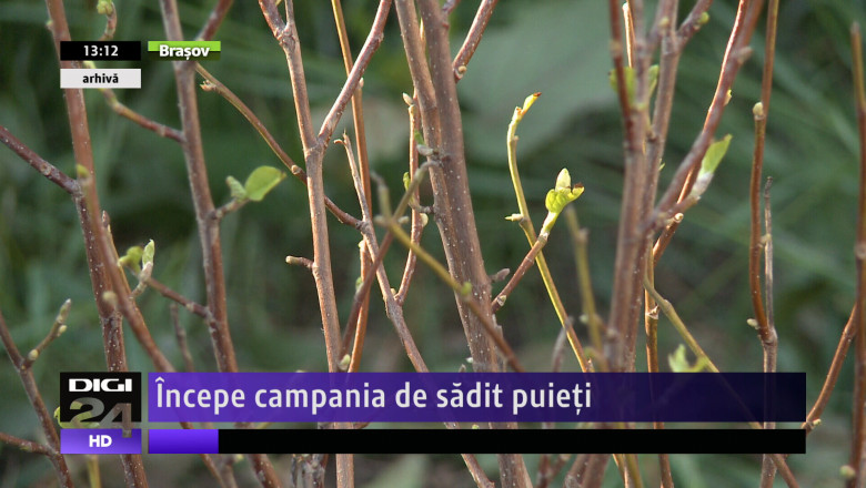  Incepe campania de sadit puieti Imagine