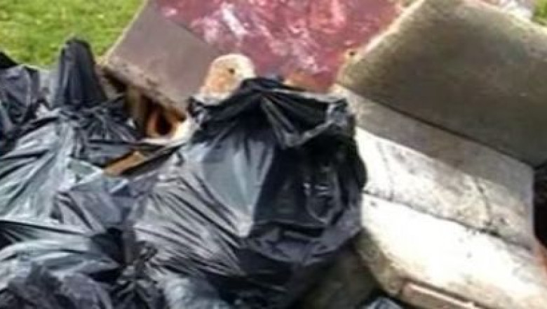 Incepe ”Curatenia de primavara” in Timisoara. Ce deseuri se ridica Imagine