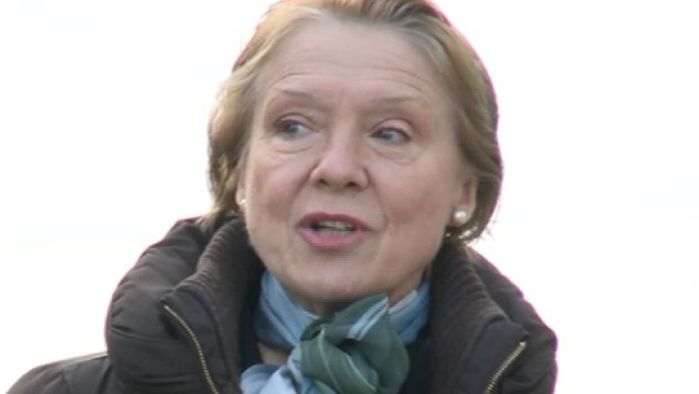 Inflatie de independenti pentru europarlamentare. O fosta cantareata si o fosta gimnasta vor la Strasbourg Imagine