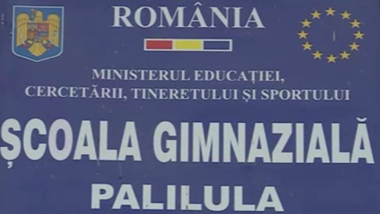 Informatica la Palilula. In scoala din satul doljean exista internet, nu si calculatoare Imagine