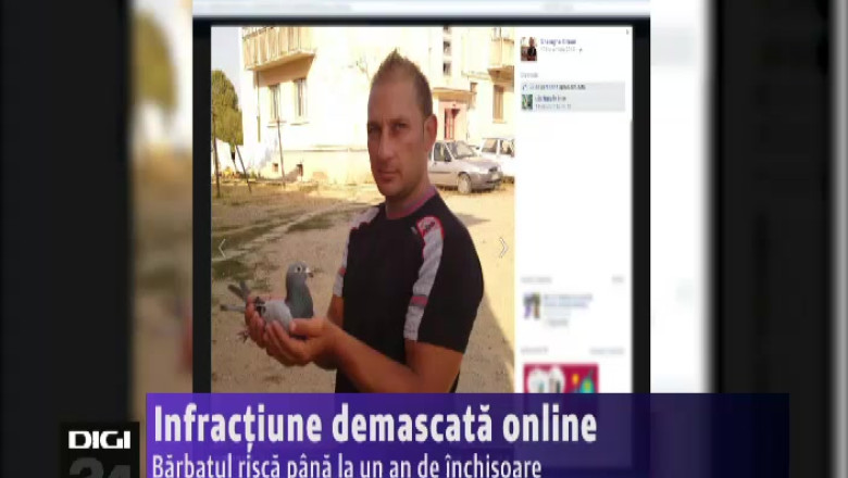 Infractiune demascata online  Imagine