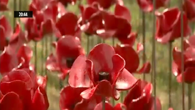 Inghesuiala la macii de la Turnul Londrei Imagine