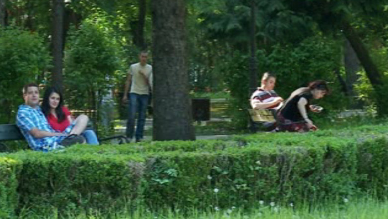 Initiativa unica in tara: la Iasi se face recensamantul arborilor seculari Imagine