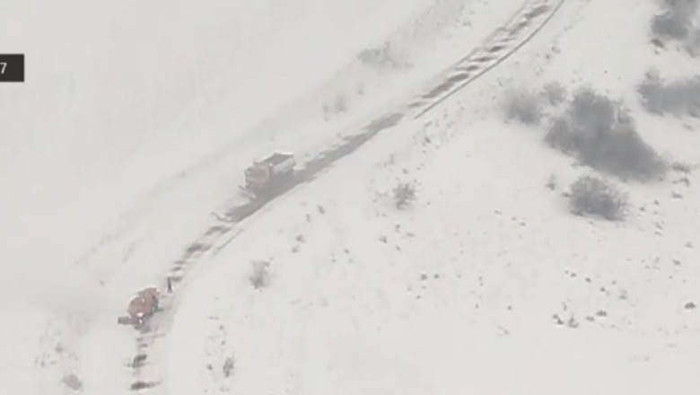 Inspectie din vazduh. Vicepresedintele Consiliului Judetean s-a laudat cu eficienta perdelelor forestiere Imagine