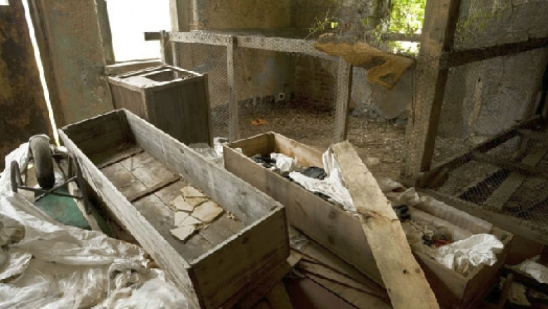 Insula cu 1 milion de morminte. Gropile comune din cel mai mare cimitir american Imagine