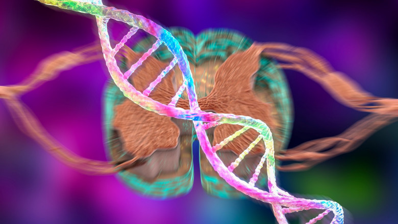 Inteligenta artificiala ar putea pune diagnostice in functie de mutatiile ADN. Cercetatorii de la Google DeepMind fac progrese Imagine