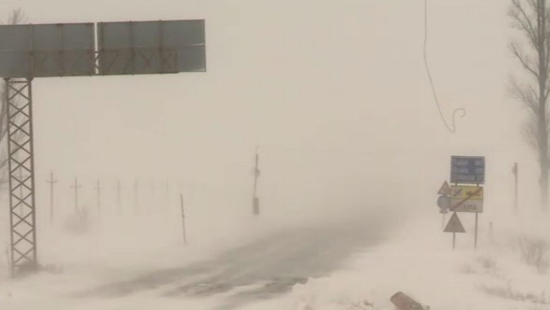 INTERACTIV. Ce nume i-ati da viscolului ce face ravagii in Romania? Imagine