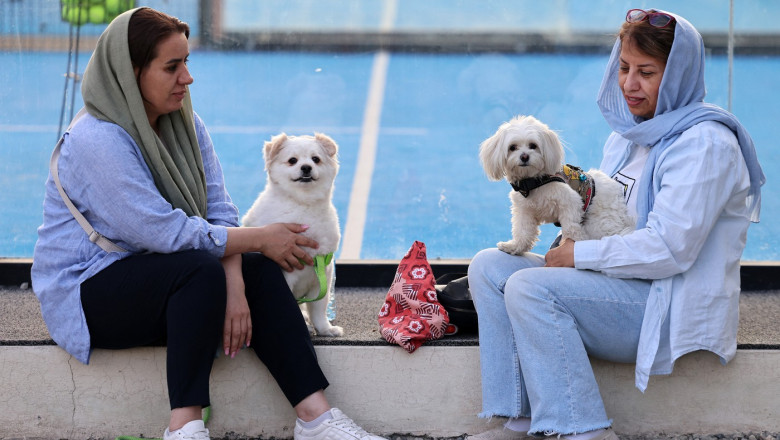 Interdictii tot mai dure in Iran: Plimbatul cainilor si transportul acestora cu masina, interzise in mai multe orase Imagine
