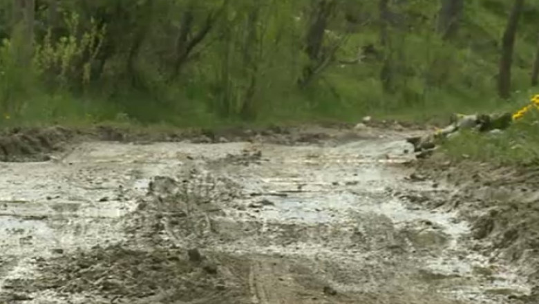 Internet de 190.000 de euro intr-un sat fara drumuri asfaltate sau canalizare Imagine