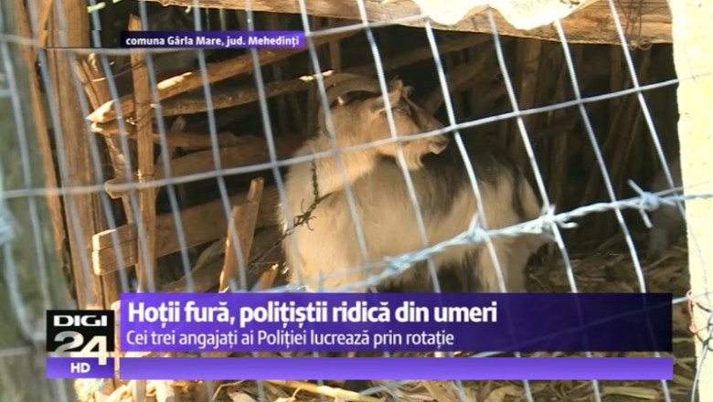 Intr-un sat din Mehedinti, fiecare gospodarie a fost pradata cel putin o data. Doar trei politisti raspund de localitate Imagine