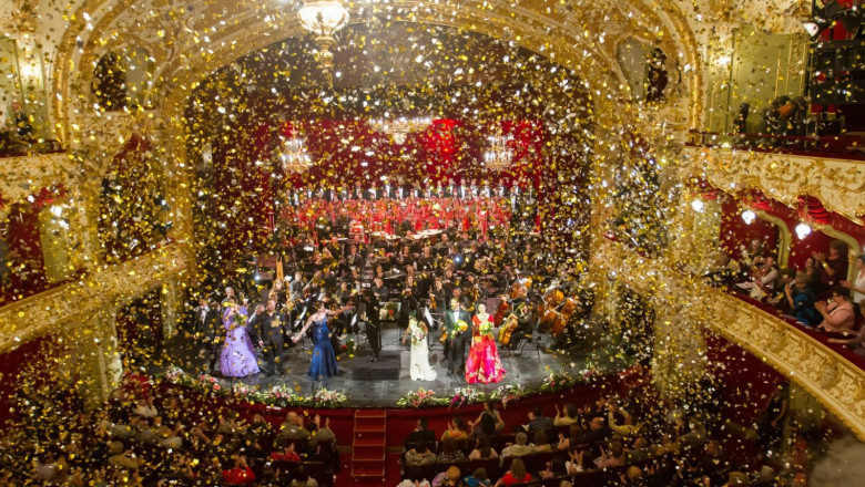 Intrarea libera la spectacolele FIE 2014. Programul complet al festivalului Imagine