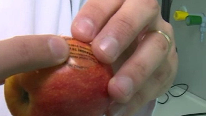 Inventie pentru un stomac sanatos. Un clujean a descoperit folia care inhiba dezvoltarea microbilor Imagine