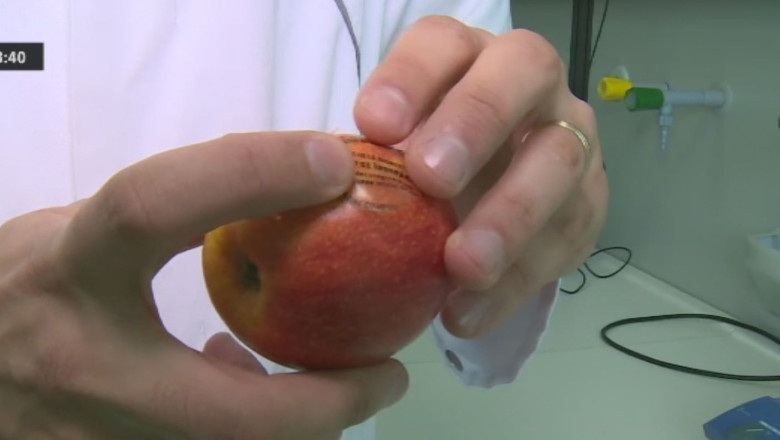 Inventie pentru un stomac sanatos Imagine