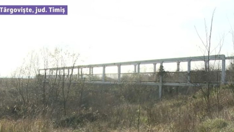 Investitie in bataia vantului in satul Targoviste din judetul Timis Imagine