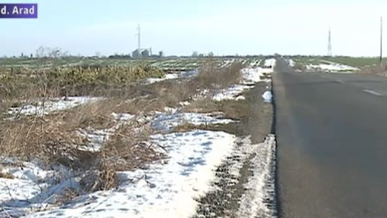 Investitie pusa la pamant. Salciile energetice din judetul Arad au fost distruse dupa numai un an Imagine