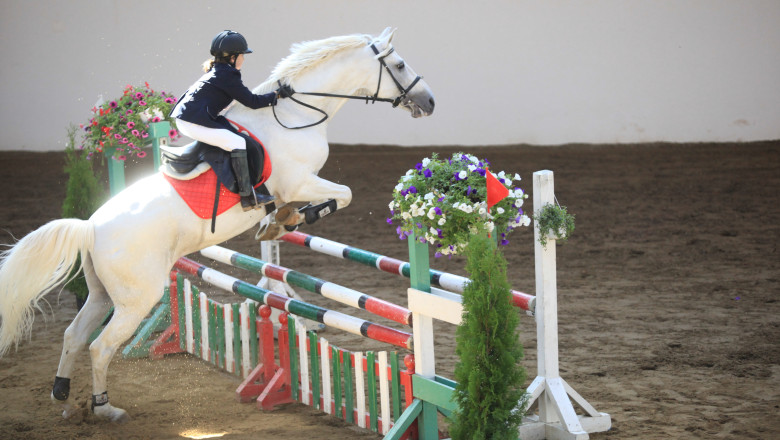 Invitatie la Manejul Herneacova. Concurs de sarituri peste obstacole Imagine