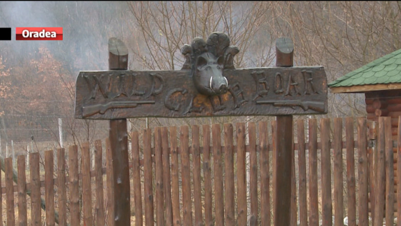 Invitatii omului de afaceri Ion tiriac urmeaza sa ajunga astazi in Bihor, pentru vanatoarea de la Balc Imagine