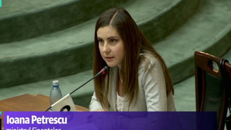 Ioana Petrescu argumenteaza in Parlament reducerea CAS: Angajatorul poate (...) sa angajeze mai multi angajati Imagine