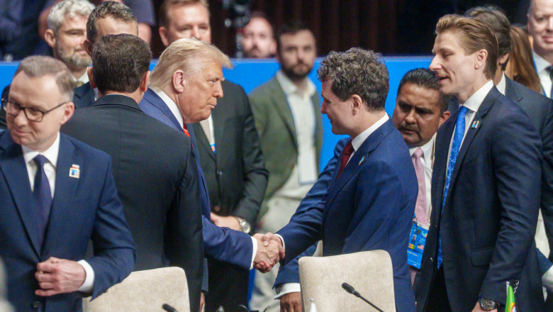 Irineu Darau, despre o intalnire Nicusor Dan - Donald Trump: Nu e ca la piata, in care sa te duci cu 10 proiecte si ei sa vina cu 10