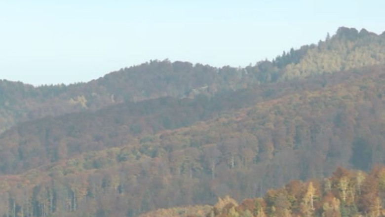 Istoricul dosarului retrocedarilor: 8 ani si improprietariri mai mari decat cererile Imagine