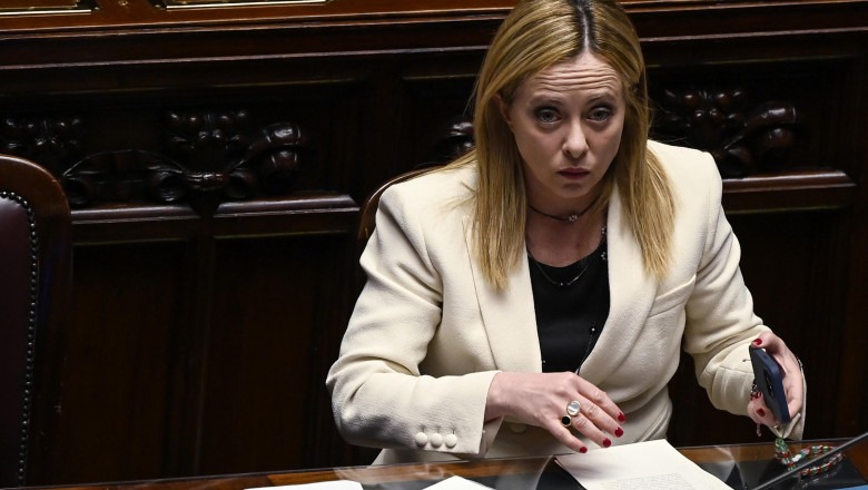 Italia interzice carnea produsa in laborator si va pedepsi producerea ei cu amenzi de pana la 60.000 euro Imagine