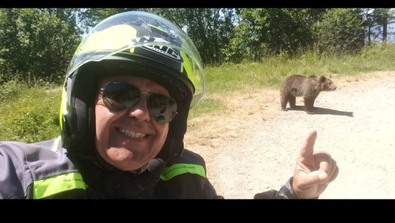 Italianul ucis de urs pe Transfagarasan postase, cu o zi inaintea atacului, fotografii si filme cu ursi pe marginea drumului Imagine