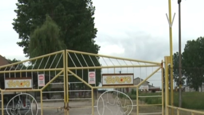 Italienii investesc 30 de milioane de euro in fermele avicole din Timis Imagine