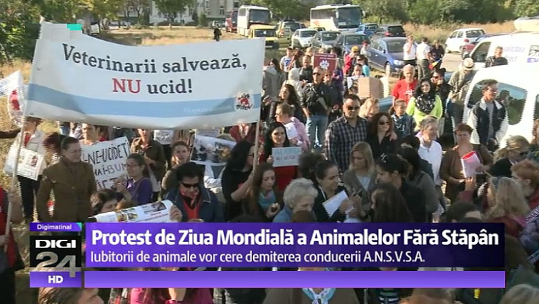 Iubitorii animalelor protesteaza azi la Guvern: Cer interzicerea eutanasierii cainilor si demiterea sefilor ANSVSA Imagine