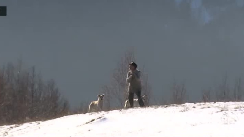 Izolati, dar nu uitati Imagine