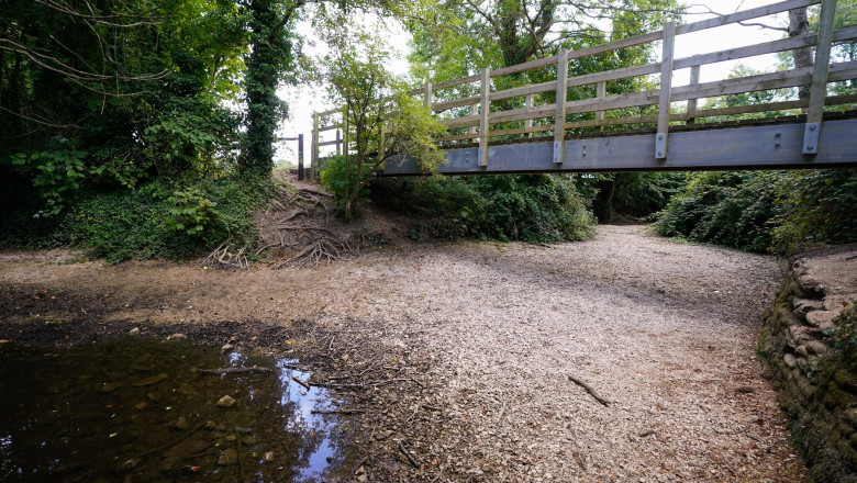 Izvorul fluviului Tamisa a secat pentru prima data in istorie. Noua sursa este la 8 kilometri in aval Imagine