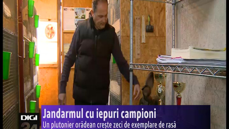 Jandarmul cu iepuri campioni. Un plutonier oradean creste zeci de exemplare de rasa Imagine