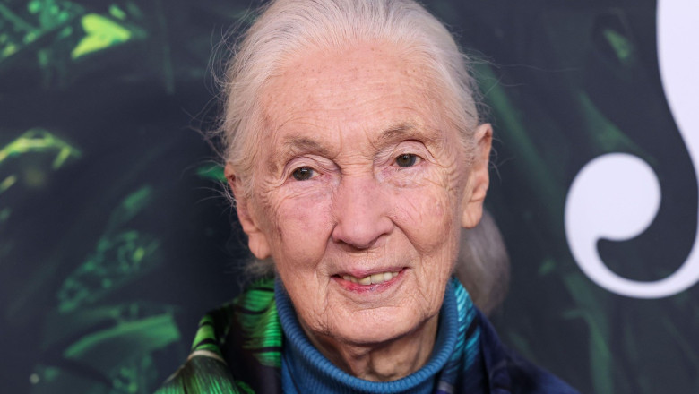 Jane Goodall: I-as trimite pe Trump, Musk, Putin, Xi si Netanyahu in spatiu, intr-o calatorie fara intoarcere Imagine
