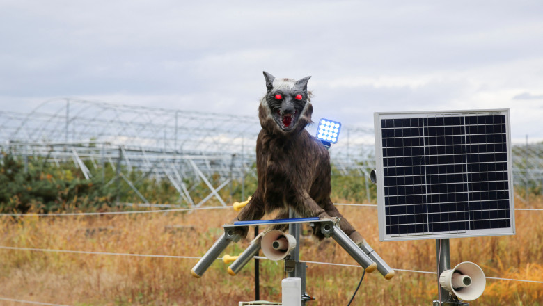 Japonia apeleaza la armata, dupa ce atacurile ursilor au atins un nivel record. De ce s-a schimbat comportamentul animalelor Imagine