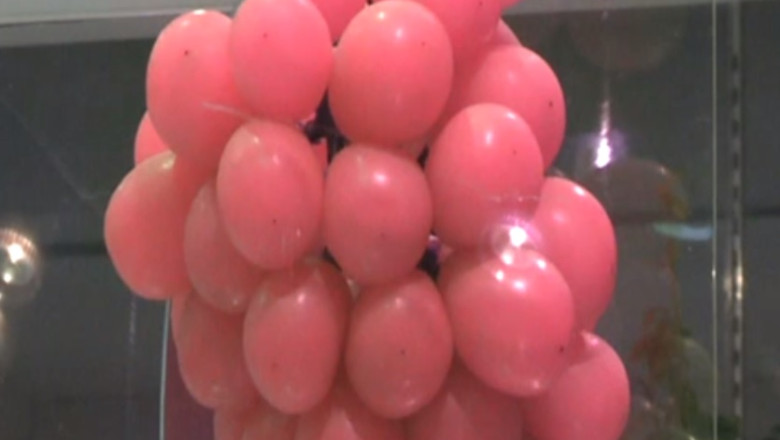 Japonia, patria fructelor de lux. Un ciorchine de struguri costa 95 de dolari Imagine