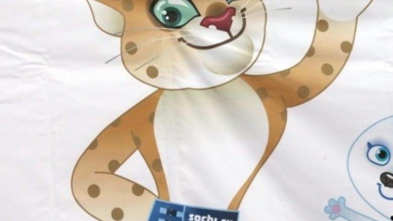 Jocurile Olimpice de la Soci, ilustrate pe marci postale romanesti Imagine