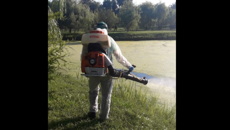 Joi incepe lupta cu tantarii in Bucuresti Imagine