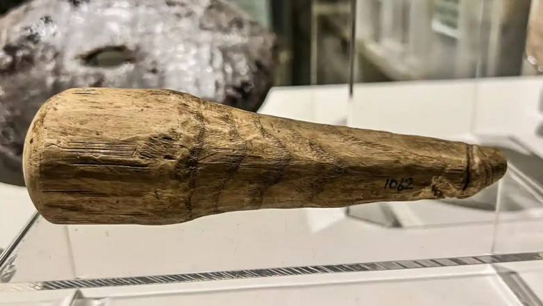 Jucarie indecenta sau instrument de tortura: un falus vechi de 2.000 de ani ar putea fi primul dildo roman descoperit de arheologi Imagine