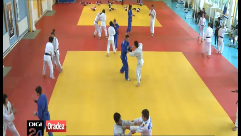 Judoka tricolori, pregatiti pentru Olimpiada din 2016 Imagine