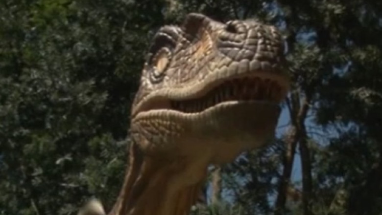 Jurassic Park la Rasnov. 80 de dinozauri din fibra de sticla vor fi instalati in parcul orasului Imagine