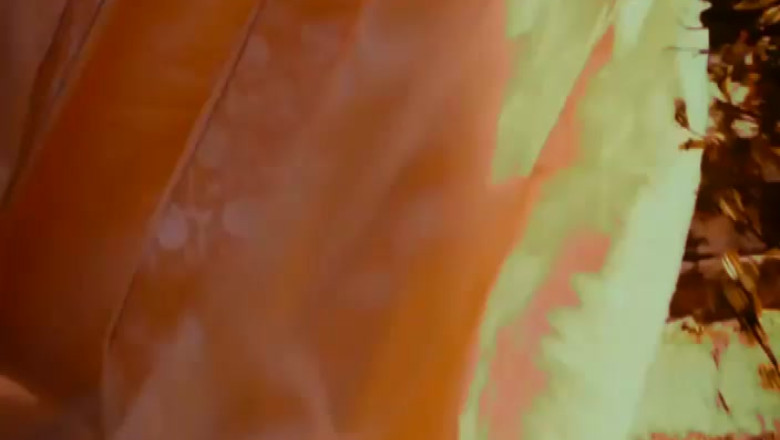 JURNAL DE FESTIVAL. Actori din Africa de Sud, China si Anglia, la Nationalul craiovean Imagine