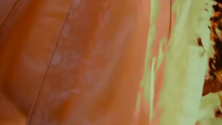 JURNAL DE FESTIVAL. Muzica timpurilor lui Shakespeare, la Craiova  Imagine